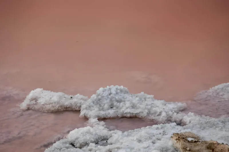 The Cosmic Real Estate Mogul Who Made Millions Selling Moon Plots (And Governments Couldn't Stop Him)