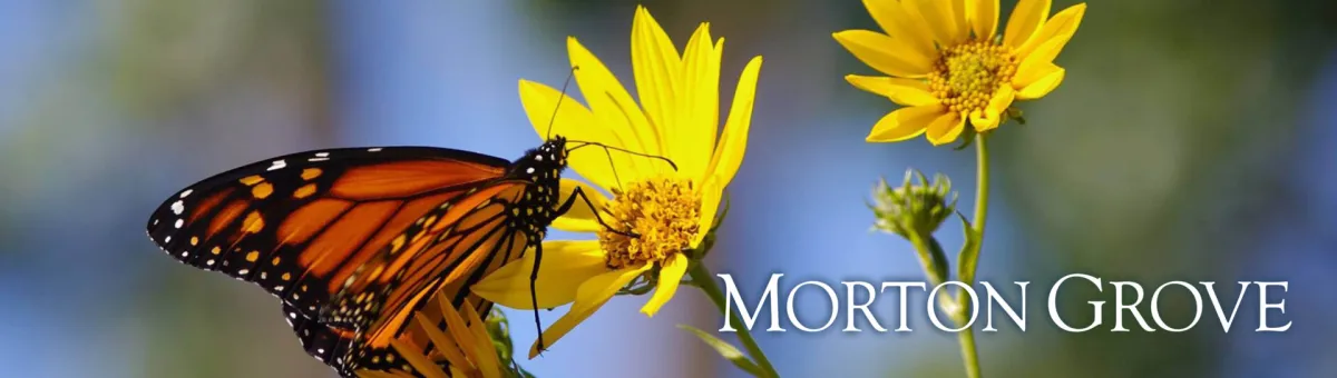 Morton Grove, Illinois