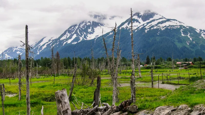 The State That Pays Citizens Just for Breathing Its Air