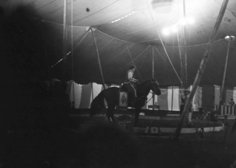 The Day a Tennessee Town Put an Elephant on Death Row